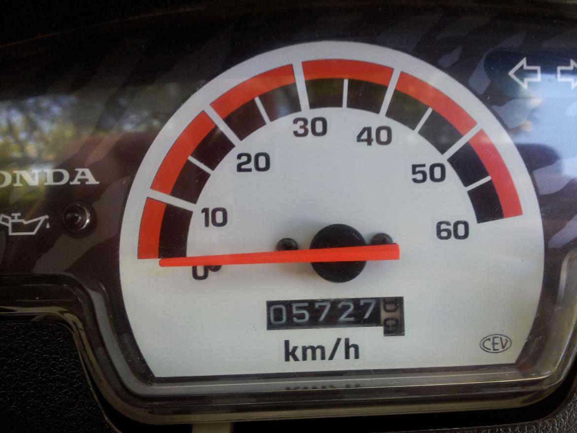 Honda Sfx billede 11