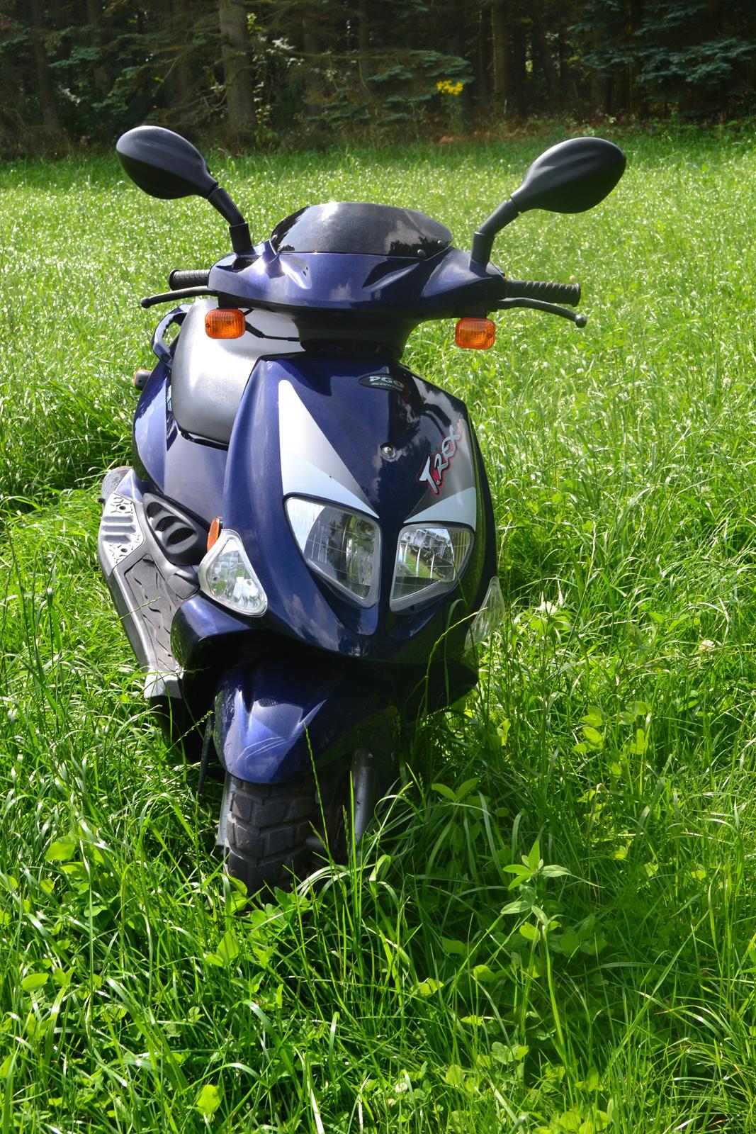 PGO T-Rex billede 2
