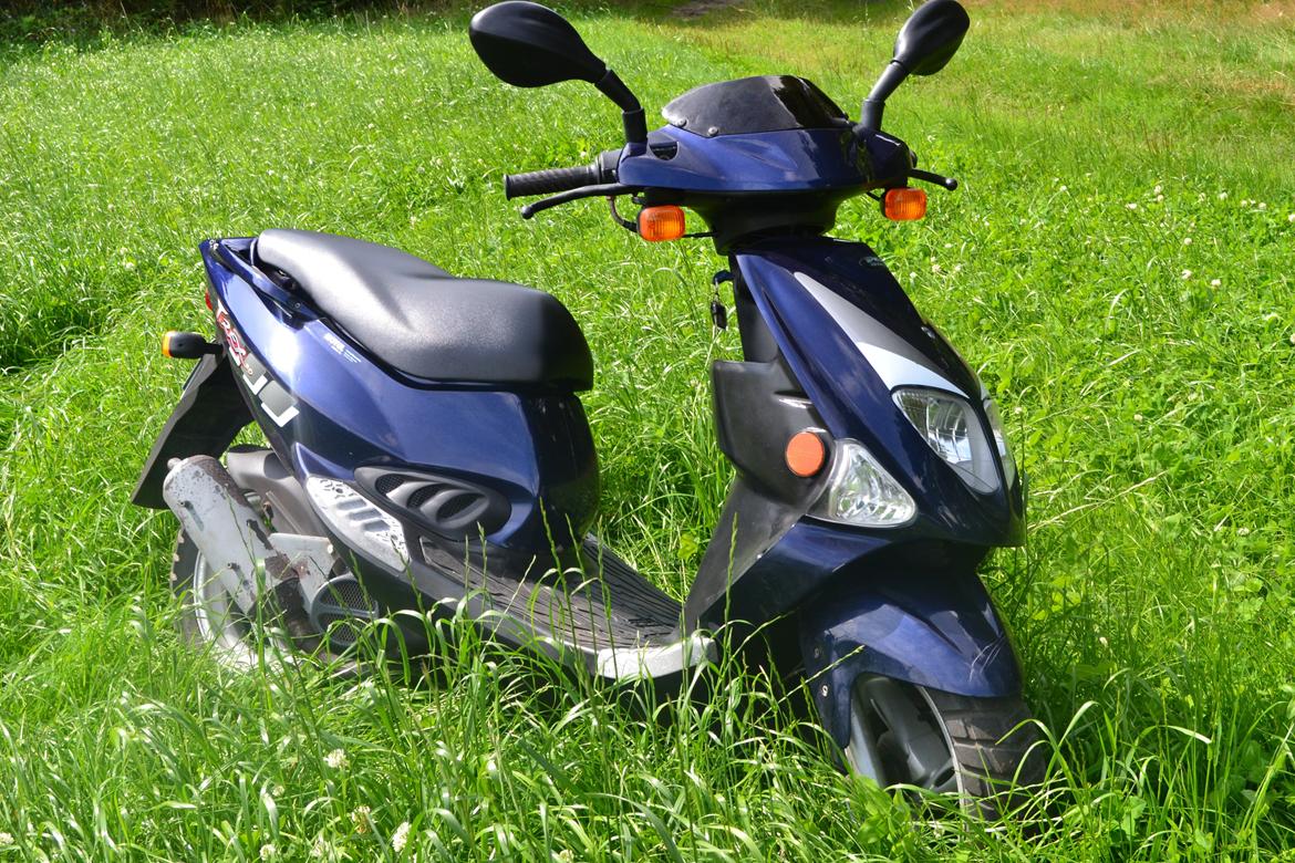 PGO T-Rex billede 3