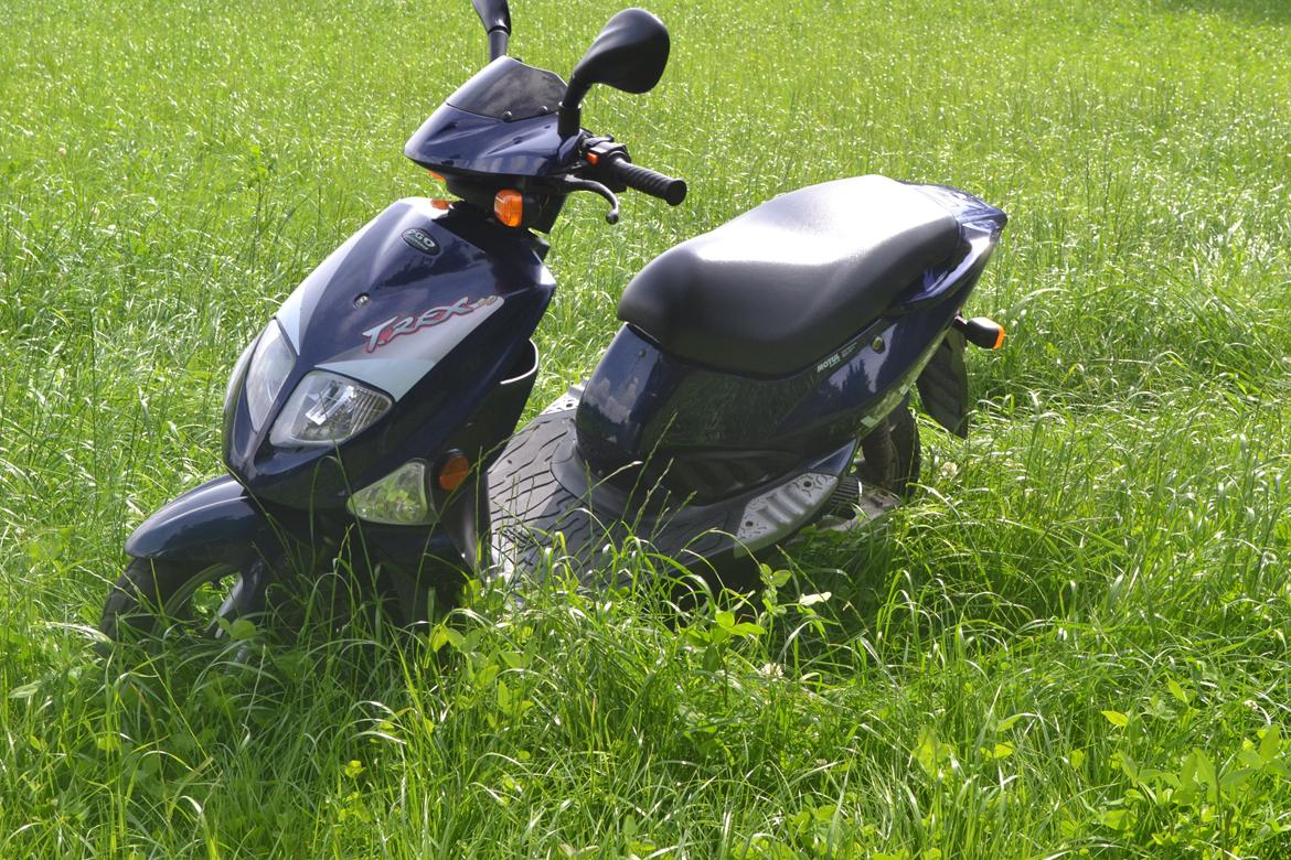 PGO T-Rex billede 4