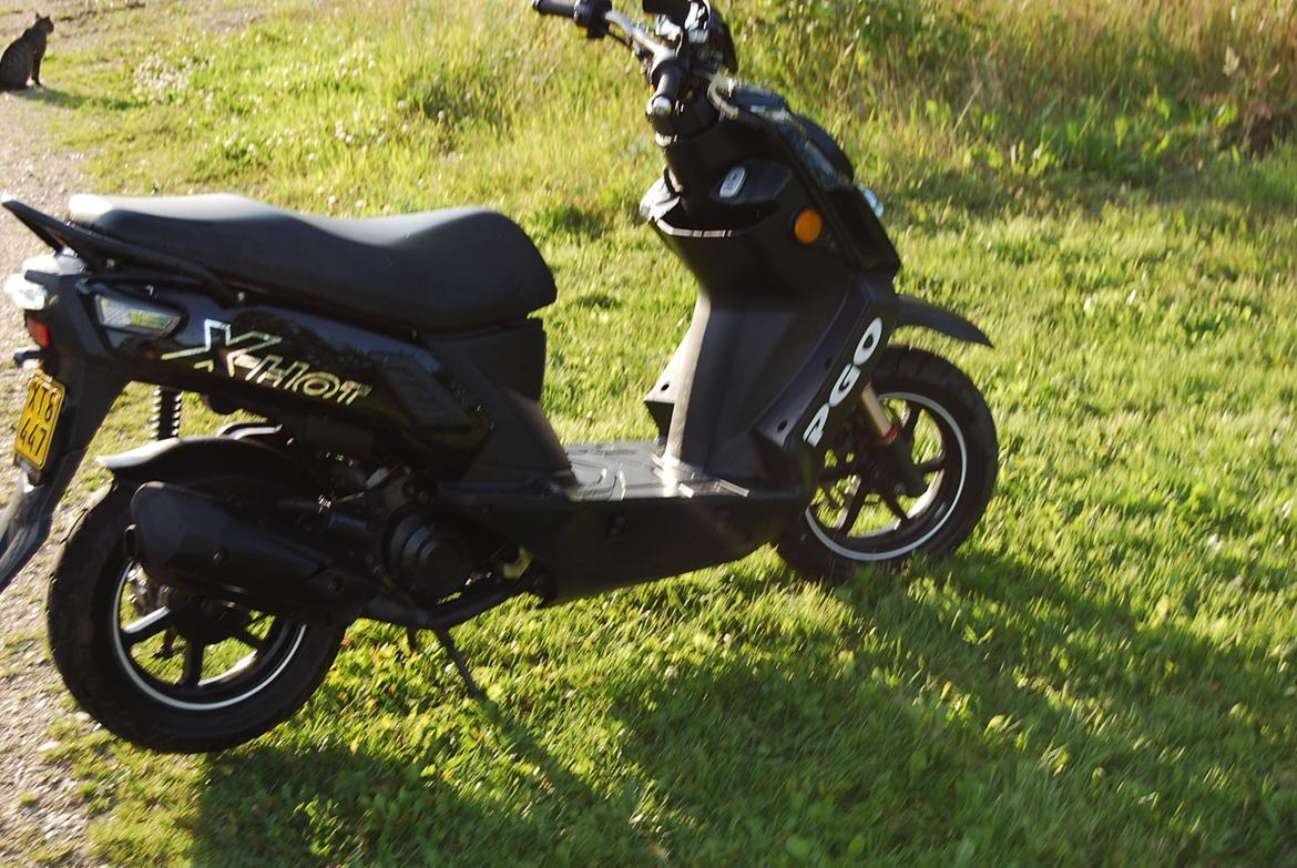 PGO X-hot billede 12