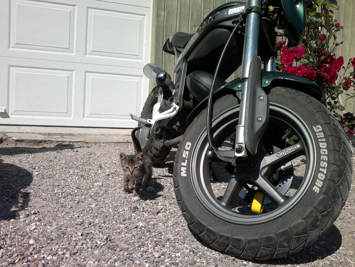 Suzuki Street Magic billede 17