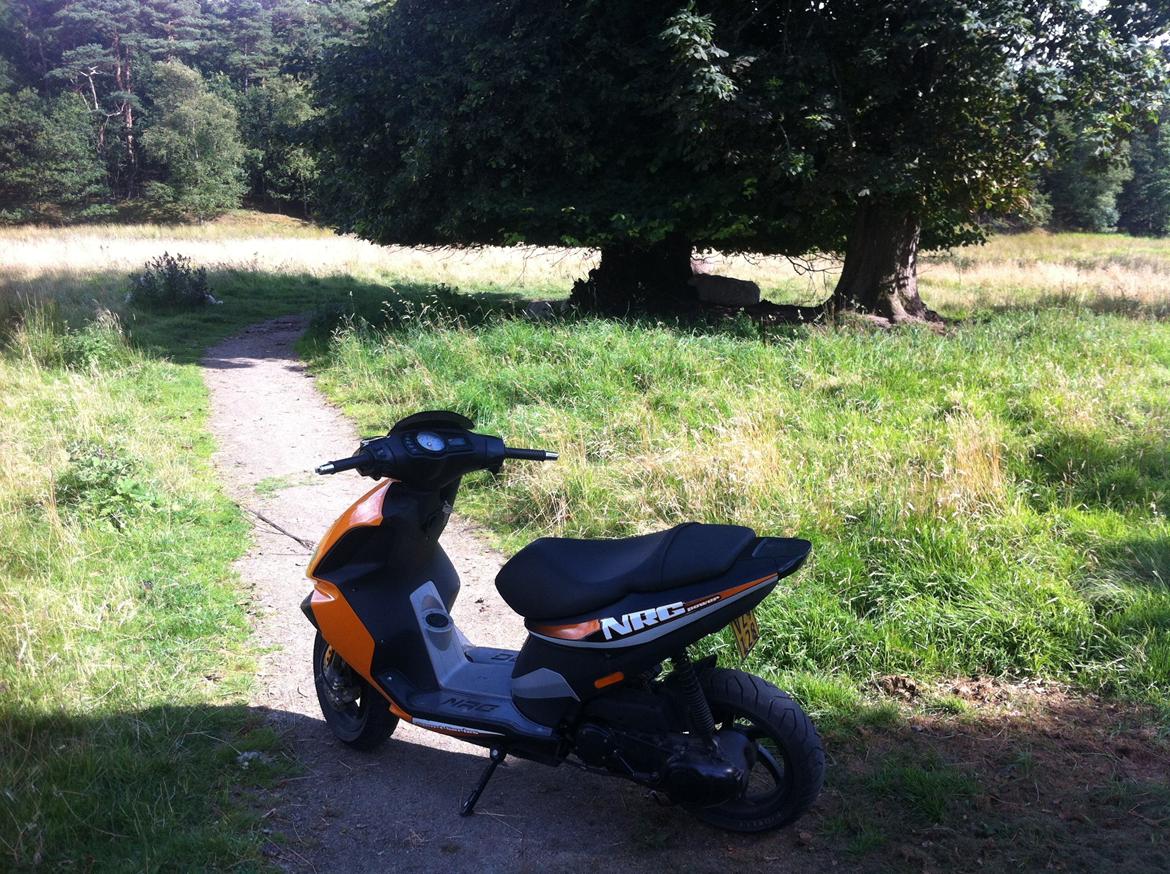 Piaggio NRG Power DT billede 5