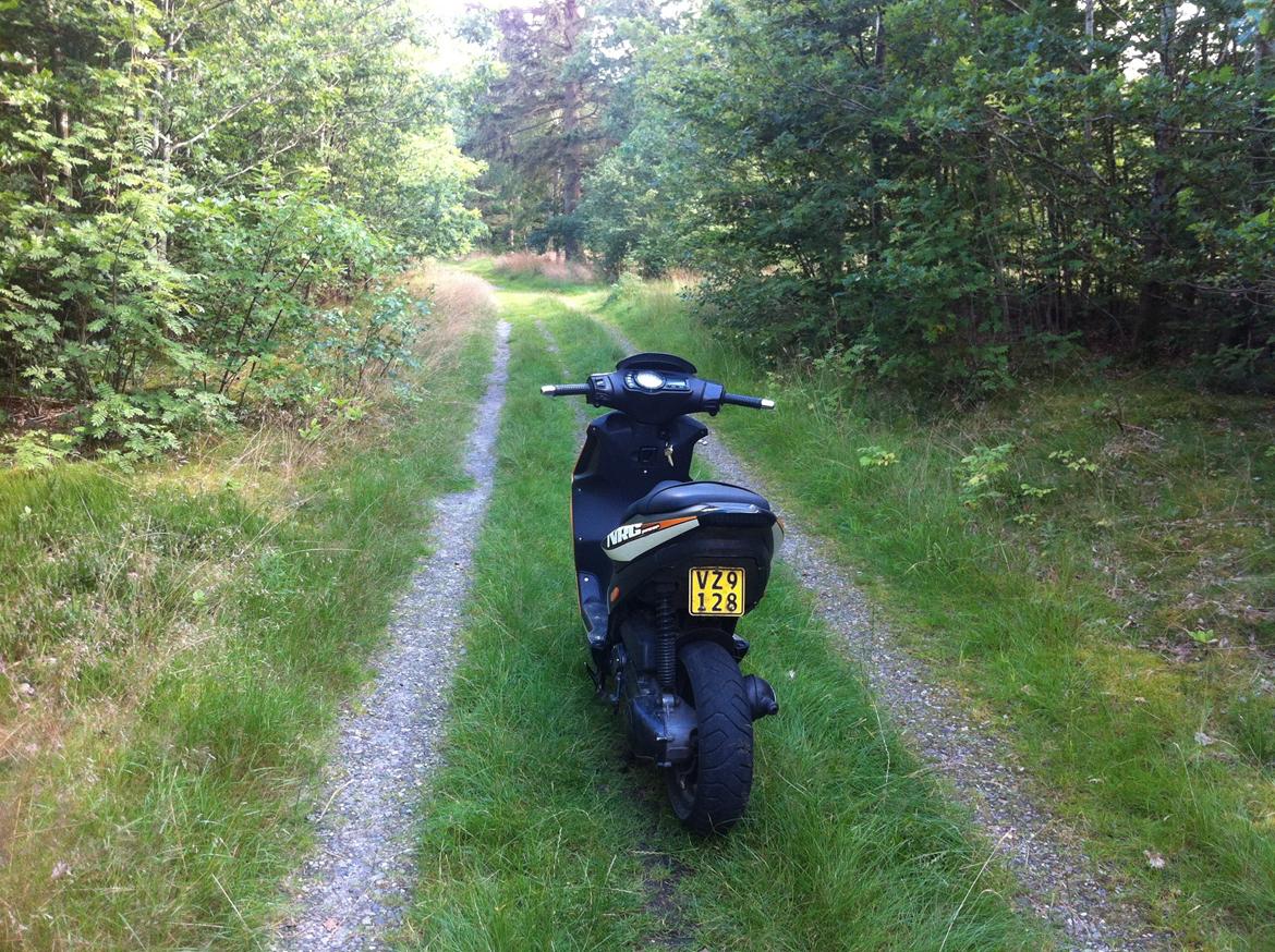 Piaggio NRG Power DT billede 6