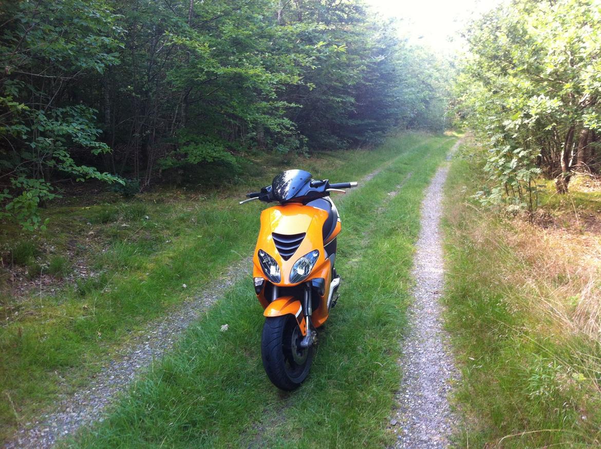 Piaggio NRG Power DT billede 7