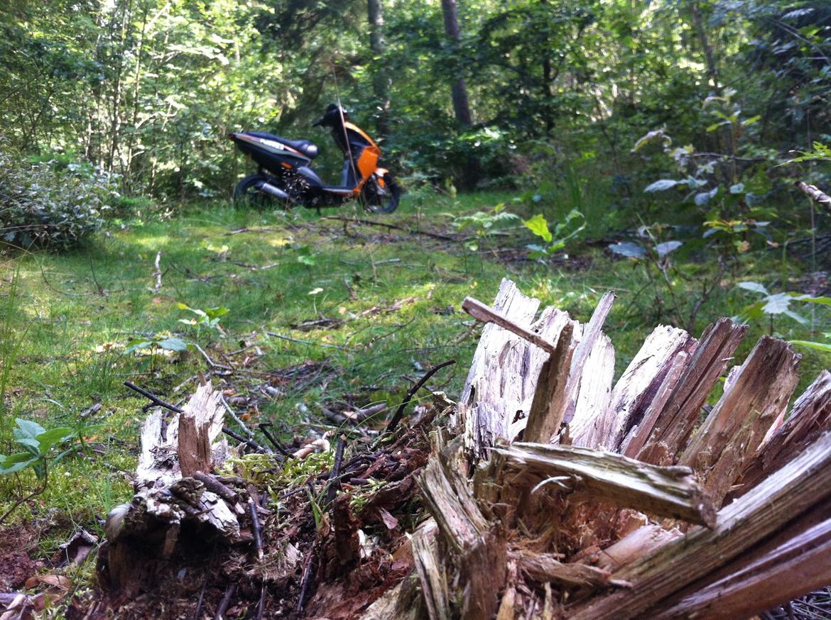 Piaggio NRG Power DT billede 11