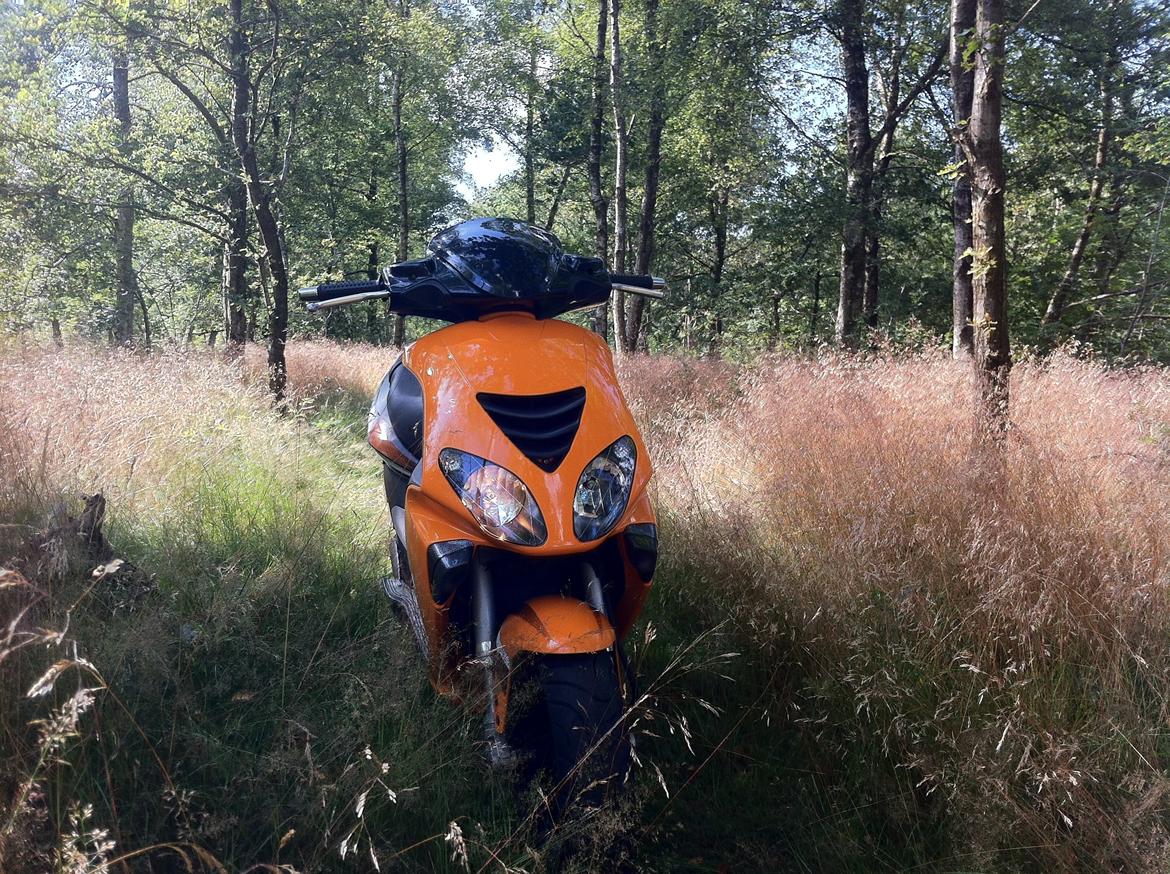 Piaggio NRG Power DT billede 12