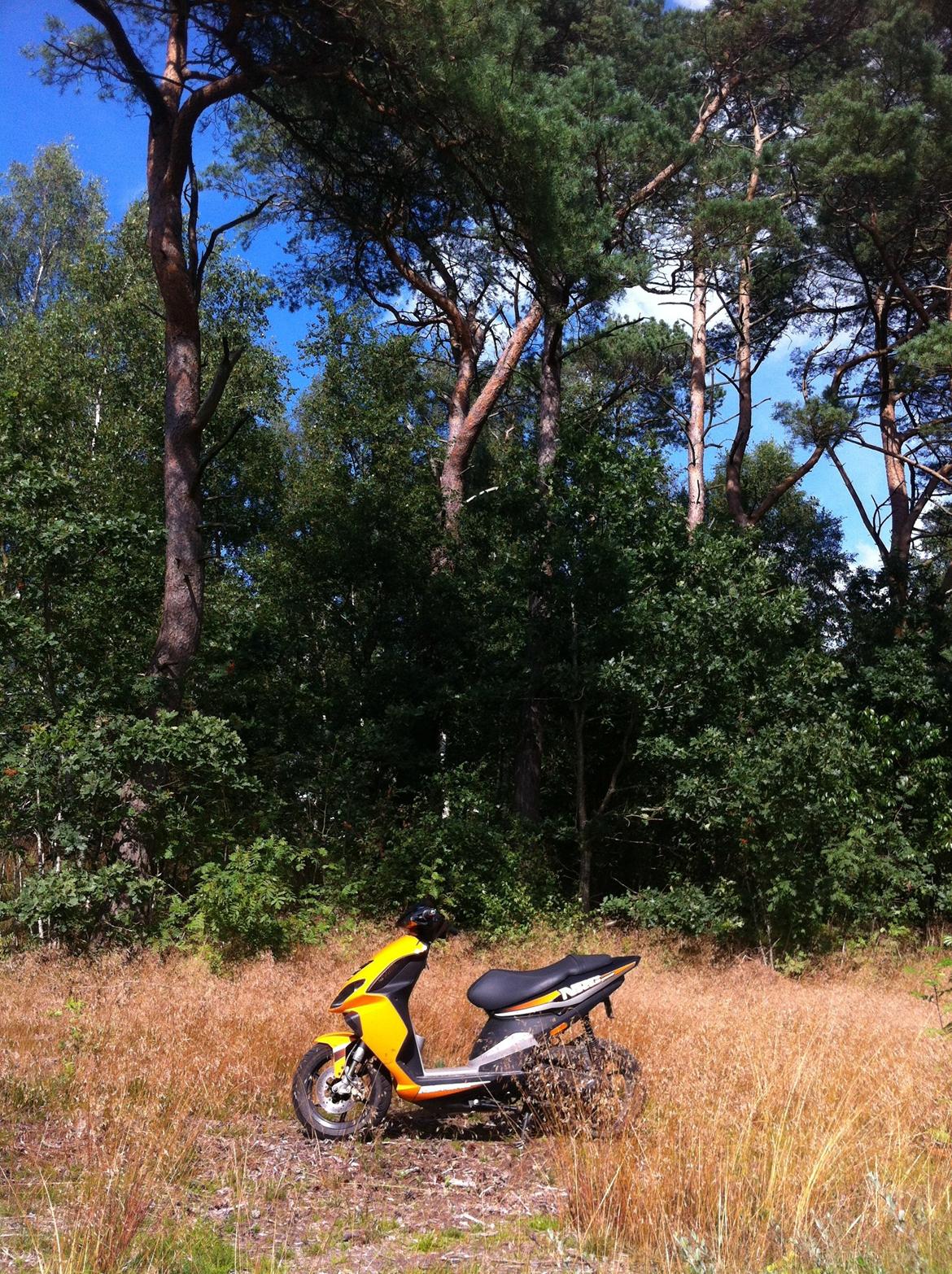 Piaggio NRG Power DT billede 13