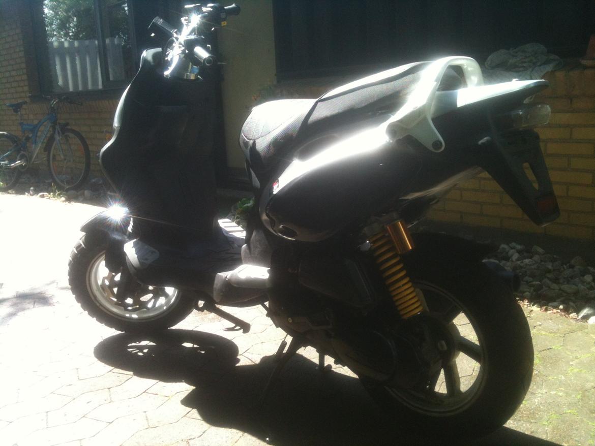 PGO Pmx Naked billede 4