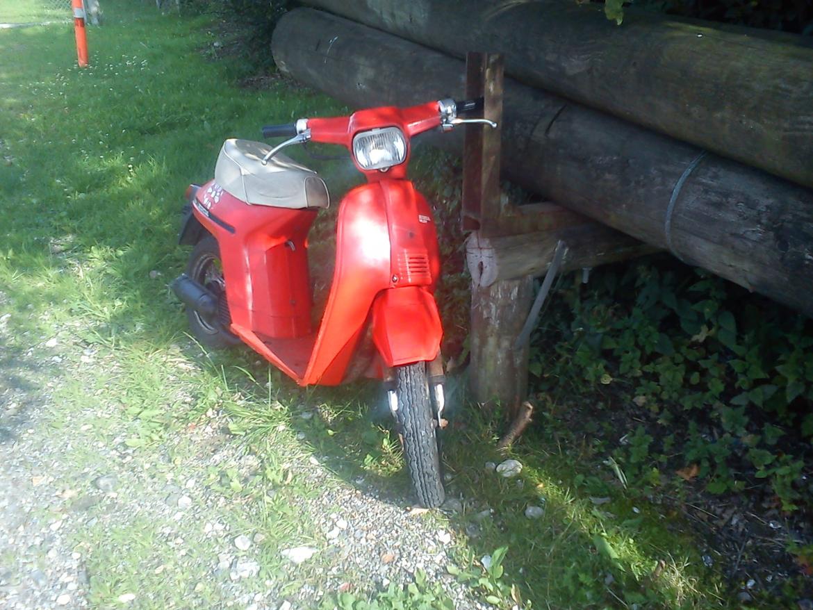 Honda Melody Mini billede 1