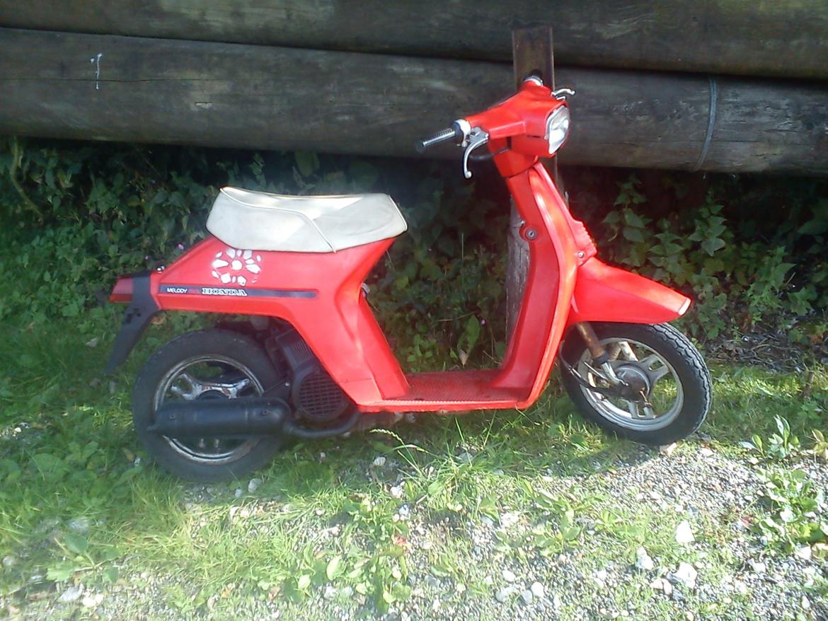 Honda Melody Mini billede 2