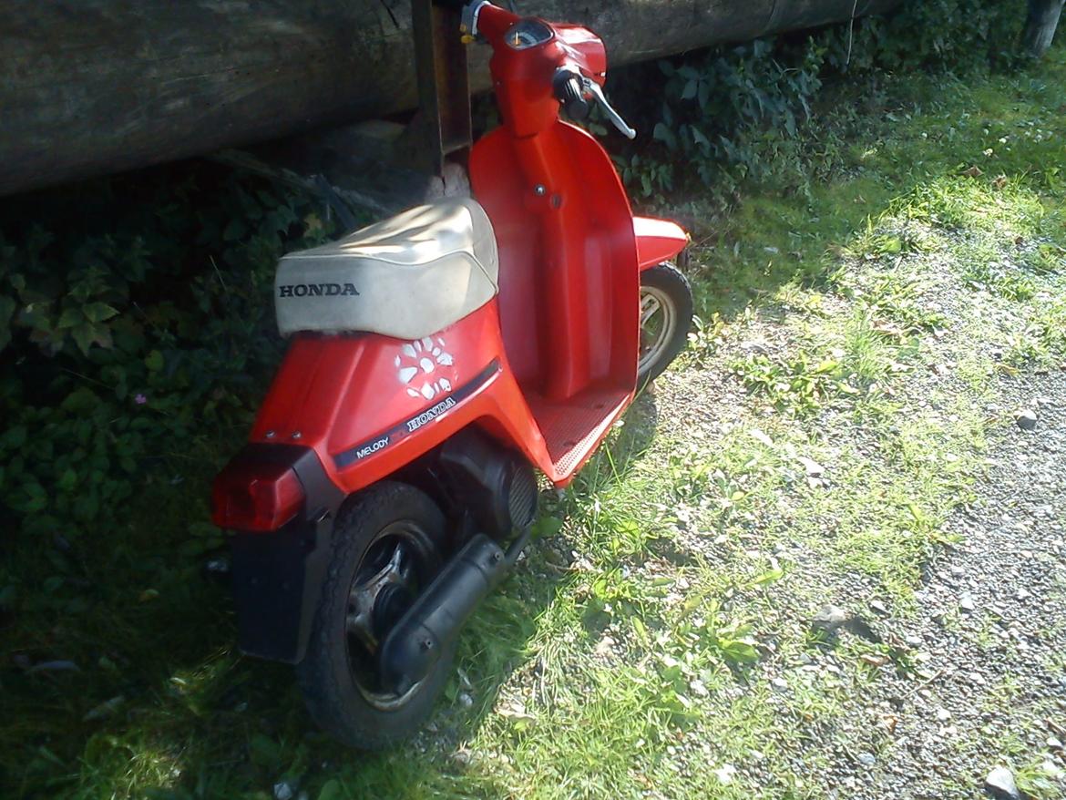 Honda Melody Mini billede 3