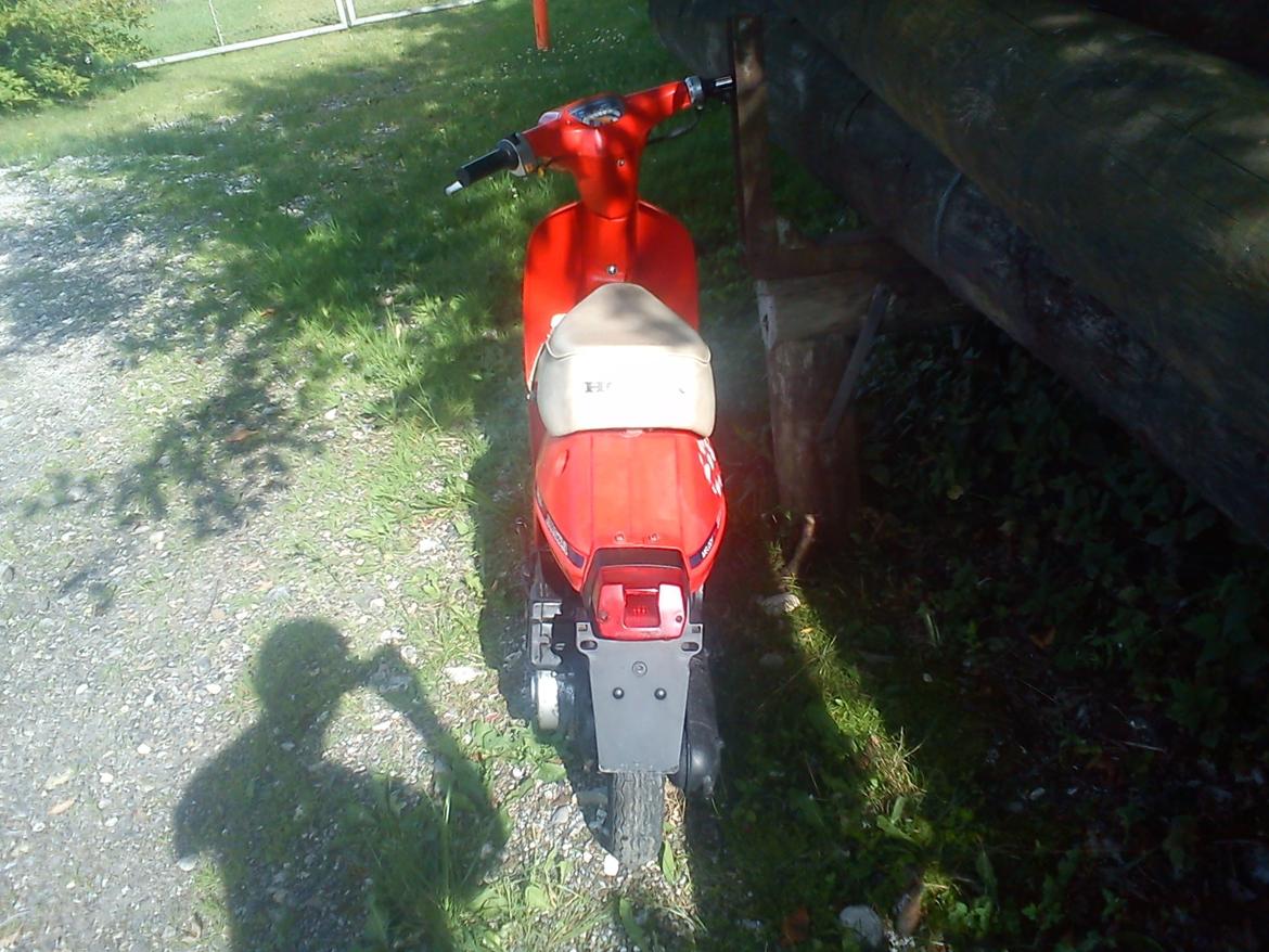 Honda Melody Mini billede 5