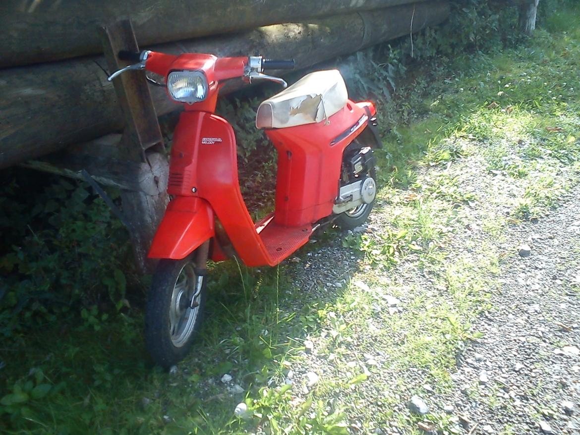 Honda Melody Mini billede 7