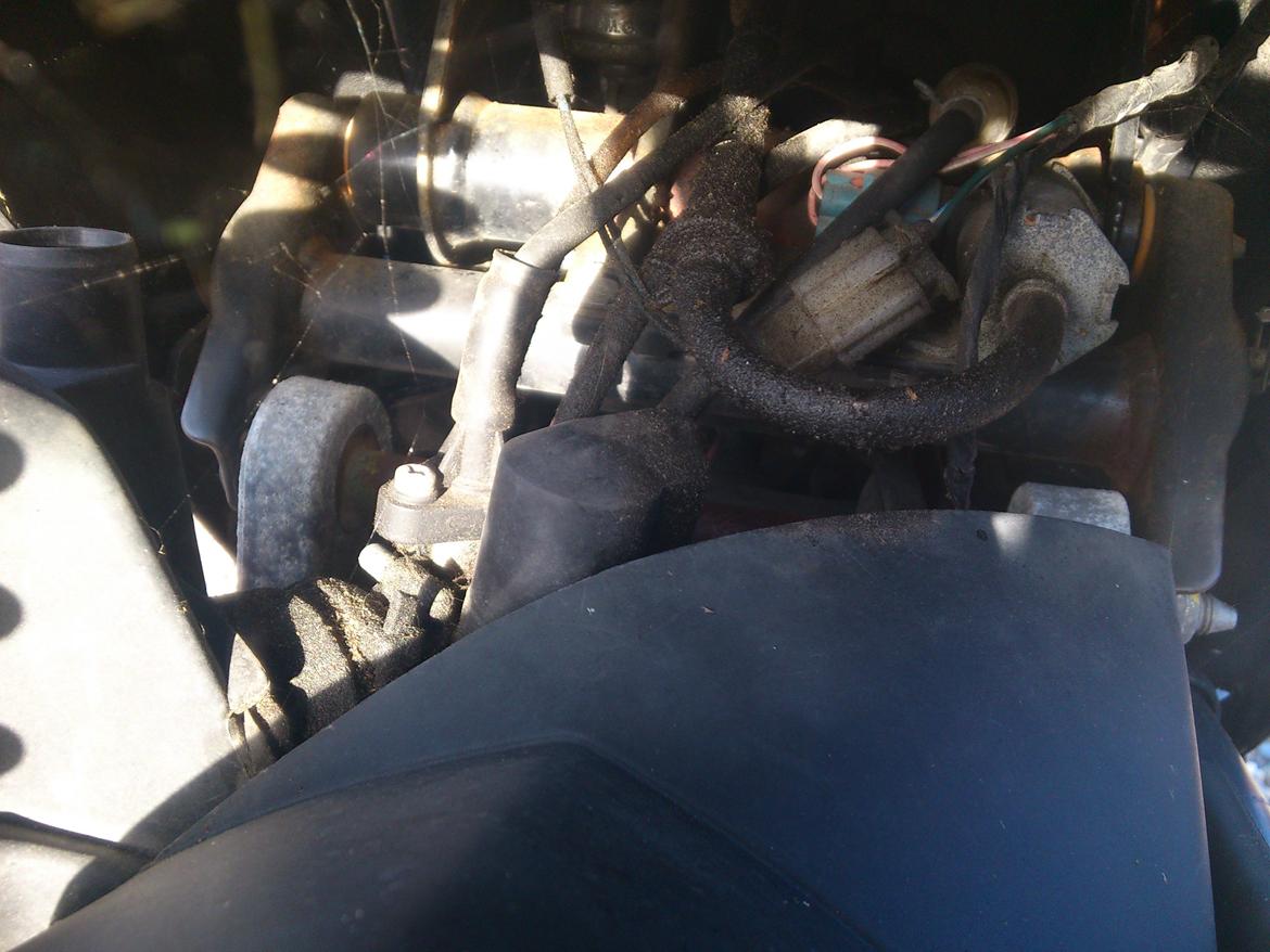 Peugeot Ludix billede 5