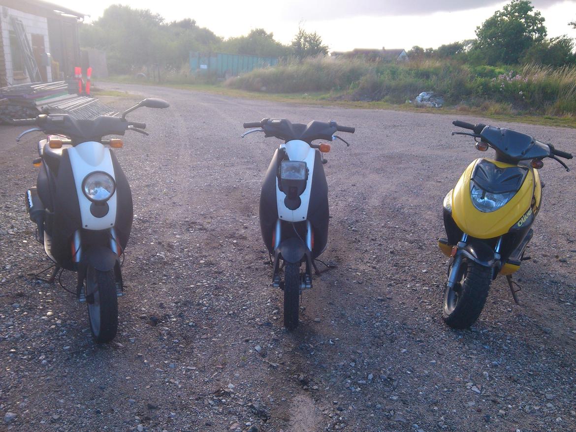 CPI Oliver billede 10