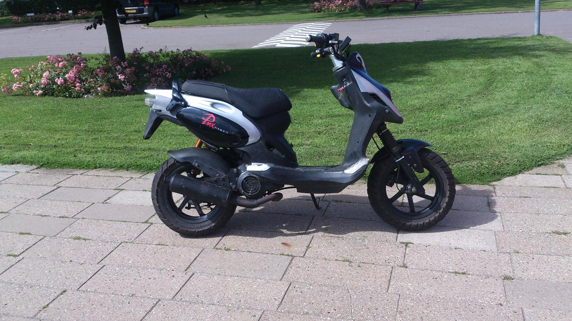 PGO PMX Naked billede 10