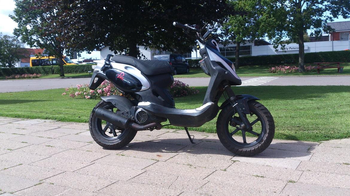 PGO PMX Naked billede 9