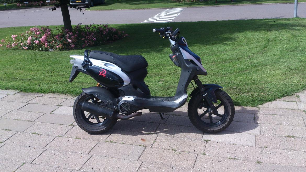 PGO PMX Naked billede 8