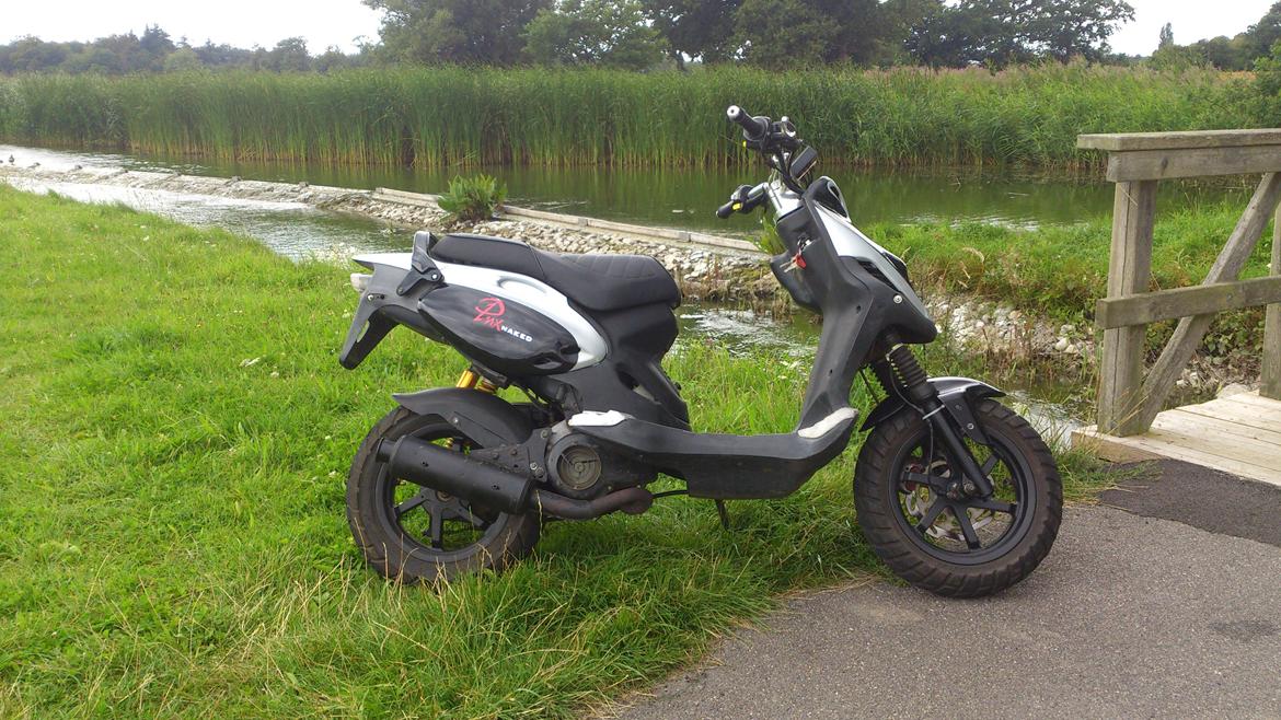 PGO PMX Naked billede 3