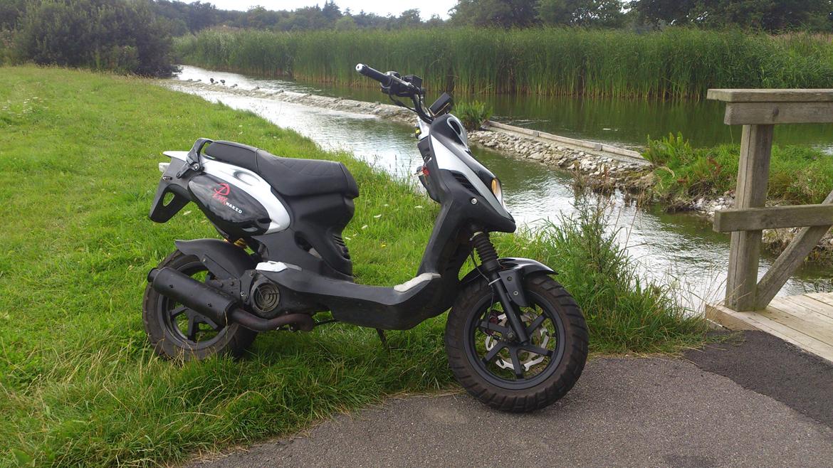 PGO PMX Naked billede 2