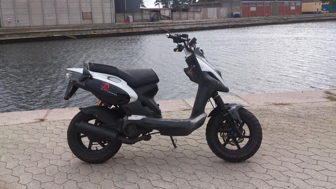 PGO PMX Naked billede 1