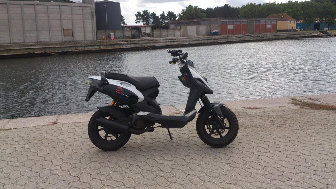 PGO PMX Naked billede 5