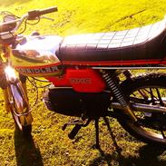 Kreidler RMC 5 gears