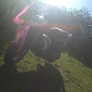 PGO Hot 50 (Tidl. Scooter)