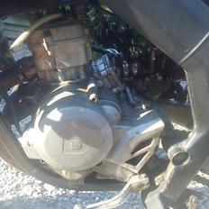 Derbi senda