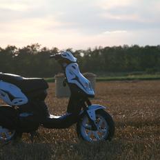 PGO PMX Sport