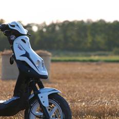 PGO PMX Sport