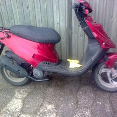 PGO Big max