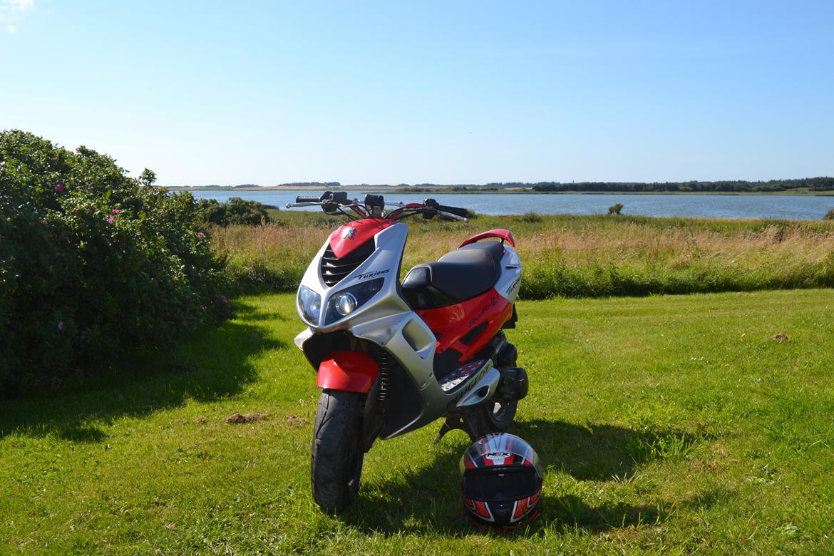 Peugeot Speedfight 2 Furious billede 2