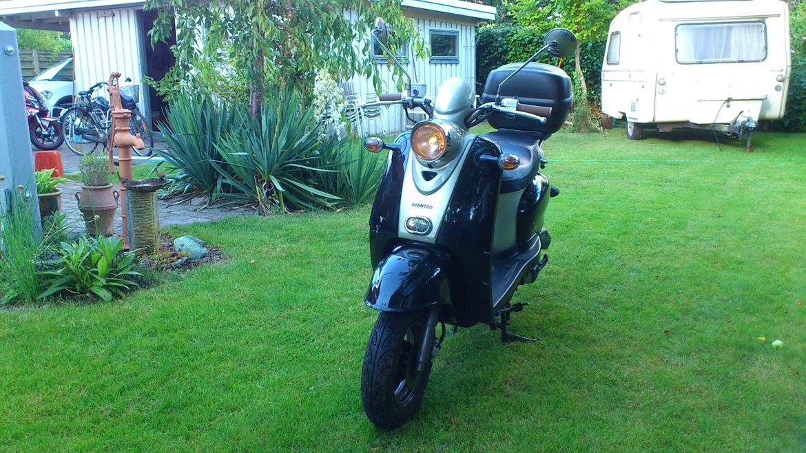 Giantco Venus billede 1