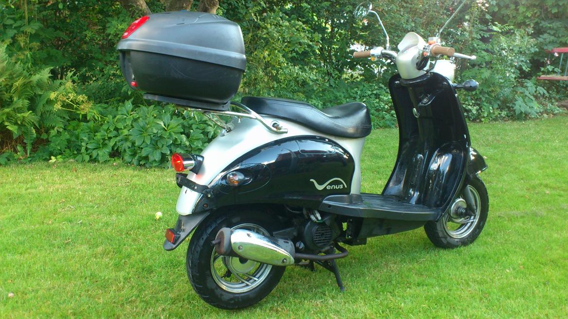 Giantco Venus billede 2