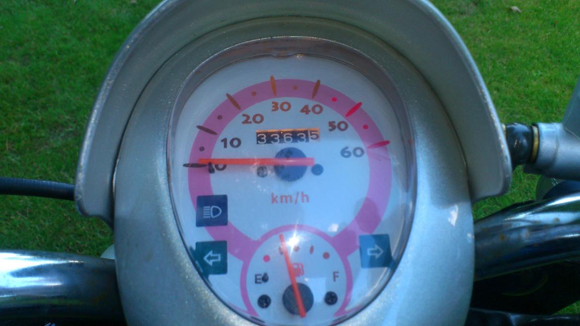 Giantco Venus billede 7