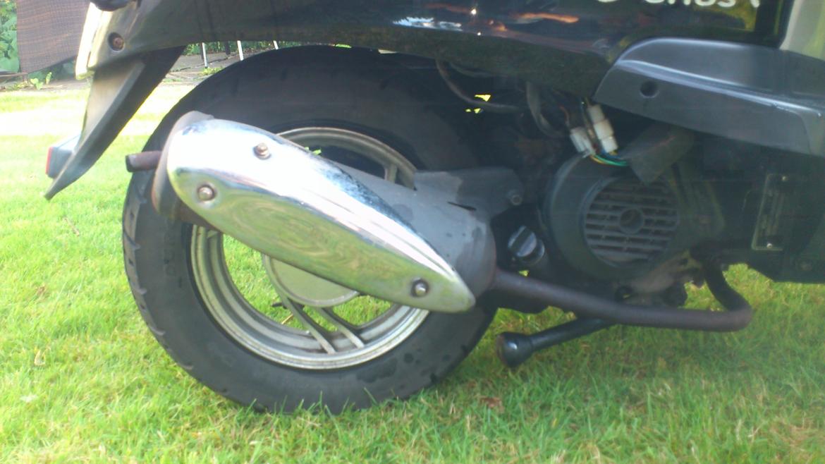 Giantco Venus billede 9