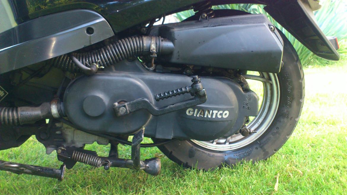 Giantco Venus billede 10