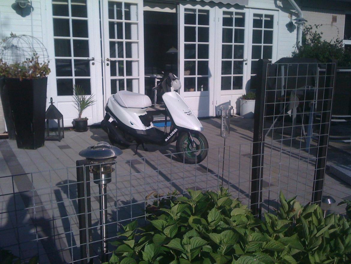 Yamaha jog fs R-Setup billede 8