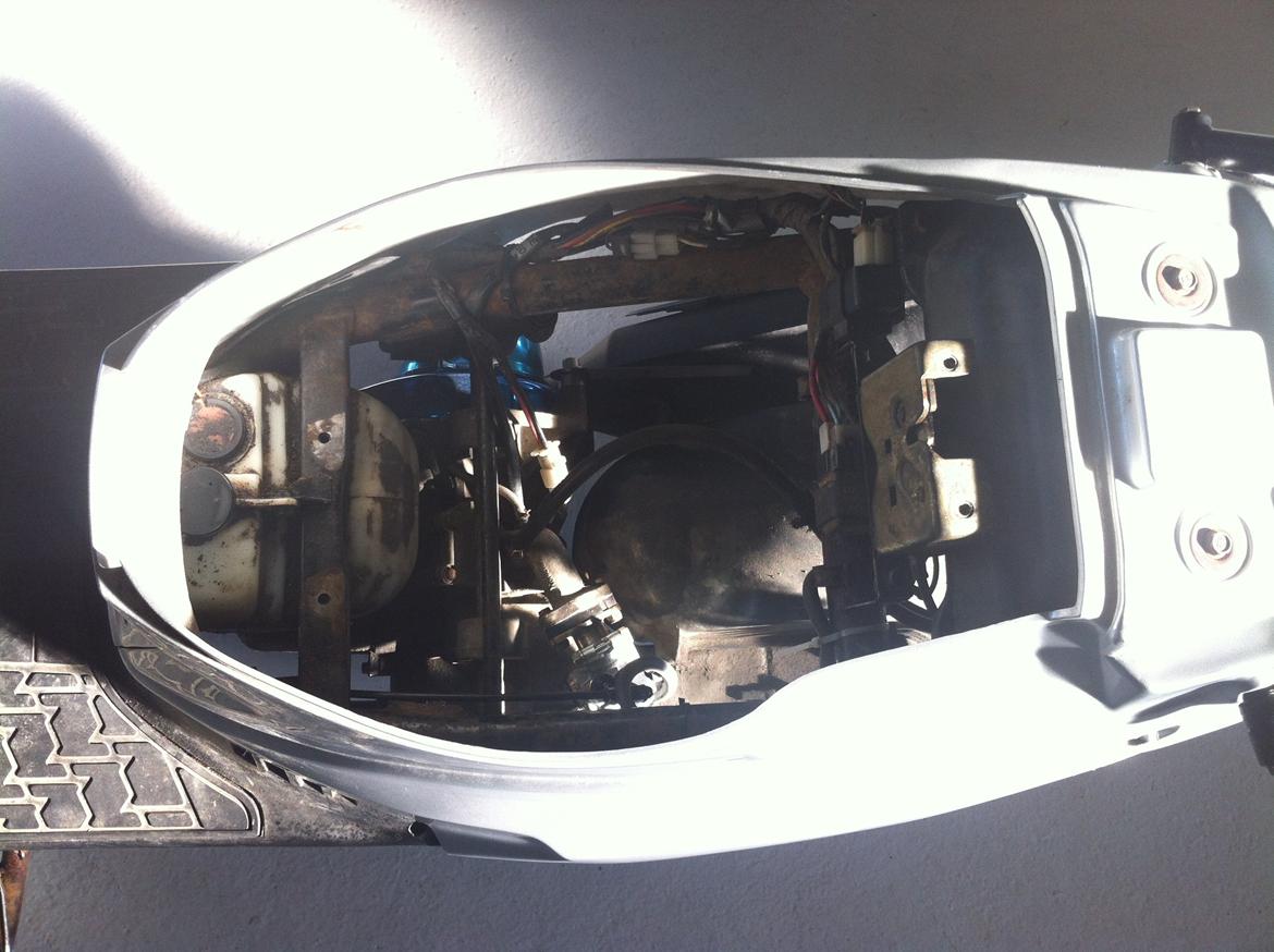 PGO Hot 50 (AV AV) billede 8