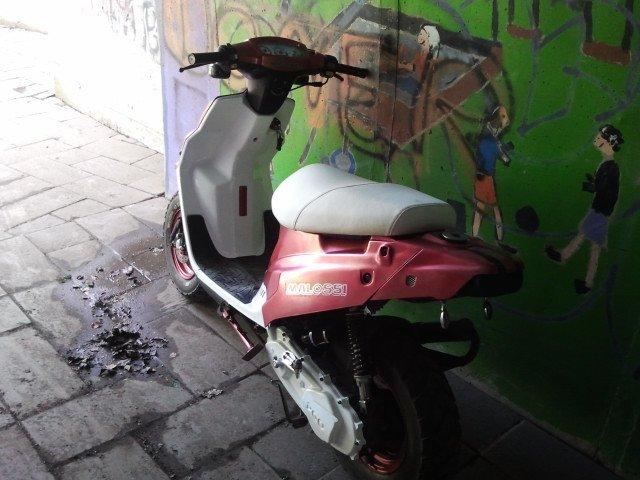 PGO hot 50 billede 9