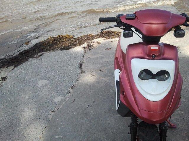 PGO hot 50 billede 13