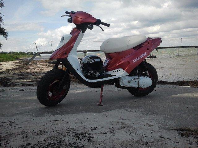 PGO hot 50 billede 15