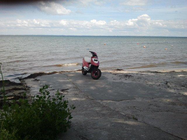 PGO hot 50 billede 19