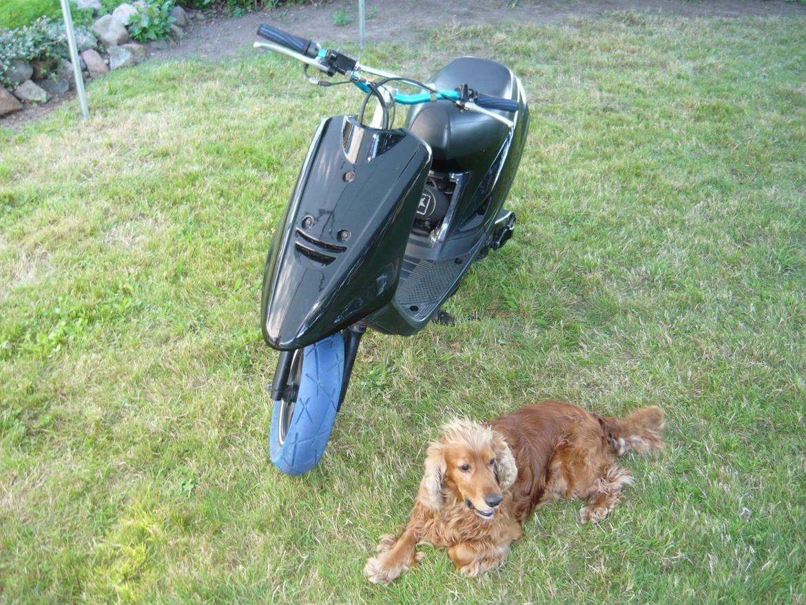 Yamaha Jog billede 6