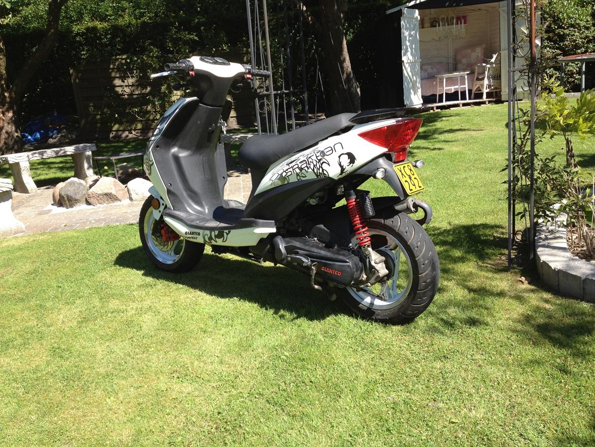 Giantco Spartan billede 1