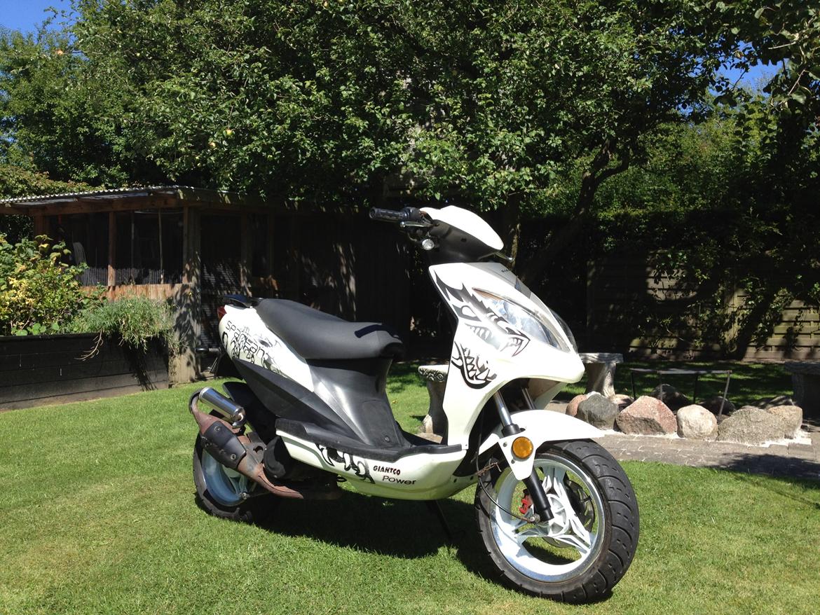 Giantco Spartan billede 4