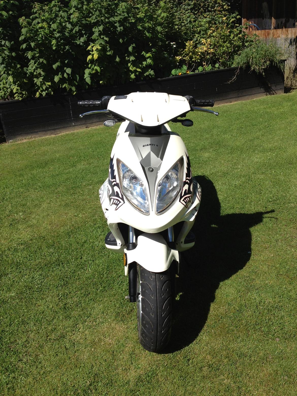 Giantco Spartan billede 5