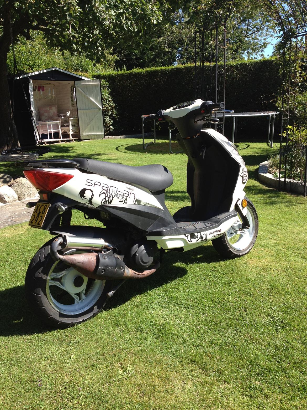 Giantco Spartan billede 6